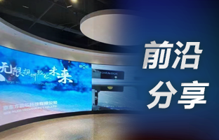 用4K点对点，选金狮贵宾会OVP装备